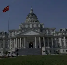 Government